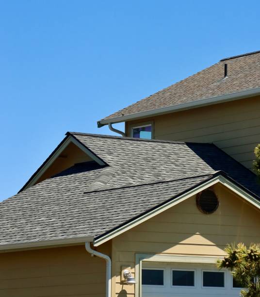 Best 4 Ply Roofing  in USA